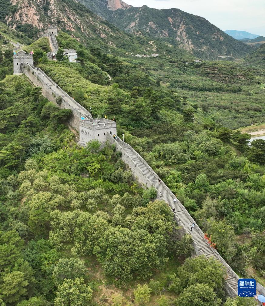 心博天下提现权限